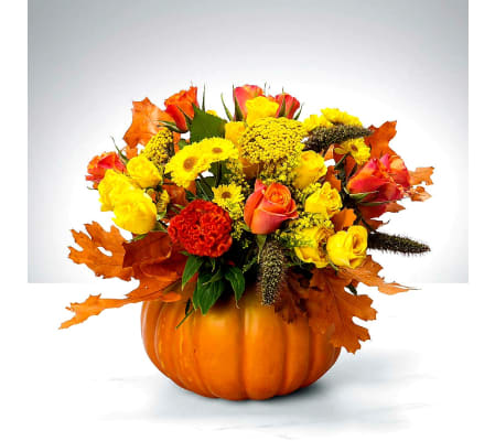 FROM OUR HOME TO YOURS