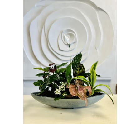 XL Ceramic Boat Planter