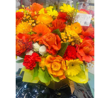 Fall in Love Forever