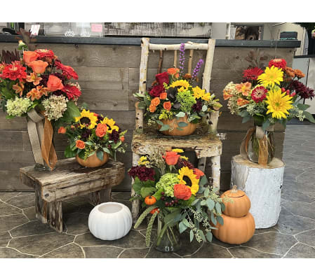 Donato's Floral Fall Selection