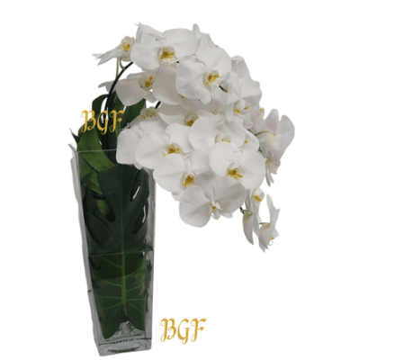 Modern Orchid Cascade