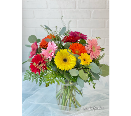 Gerbera Bright