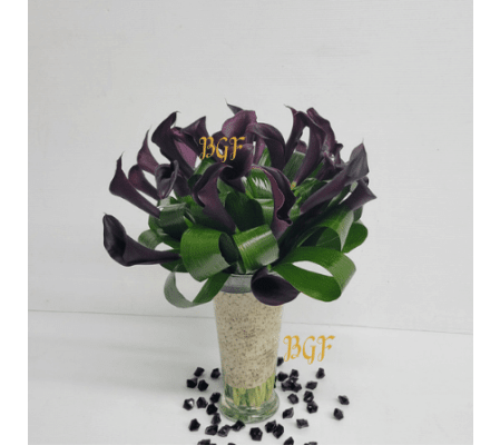 Elegant Glamour Cala