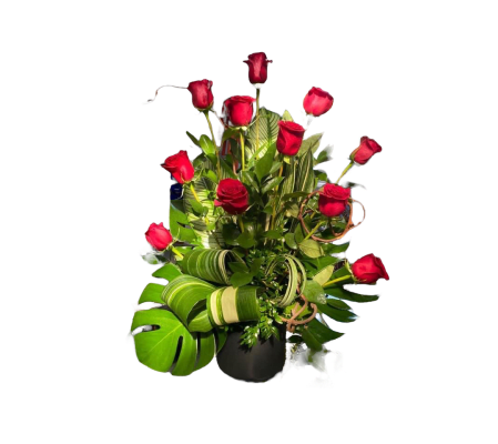 Above and Beyond Love