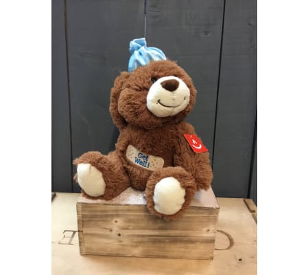 Eco Friendly Get Well Bear