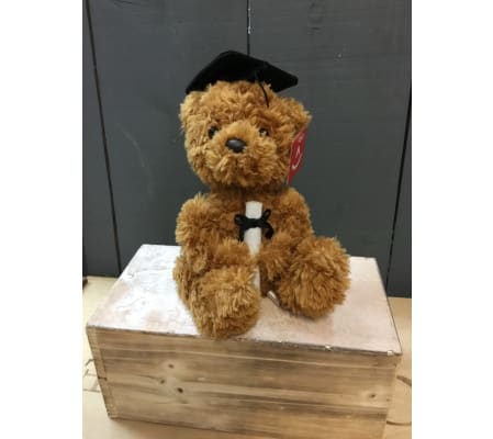 Eco friendly Graduation Bear