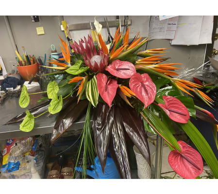 Exotic casket spray bouquet