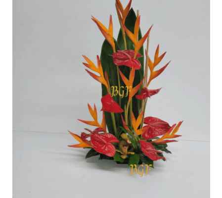 Tropical Master Blooms