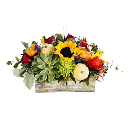 Box of Thanks-Giving