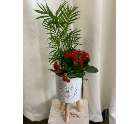 Blitzen Metal Garden Planter