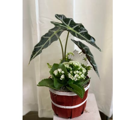 Small Bushel and Peck Garden Basket