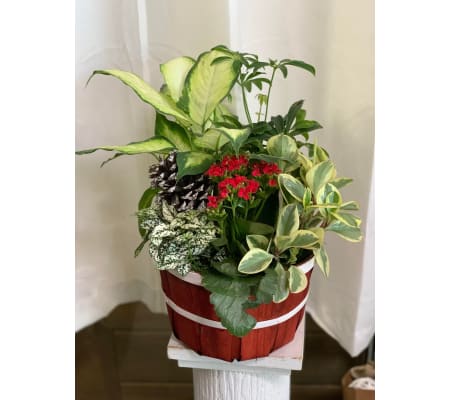 Medium Bushel and Peck Garden Basket