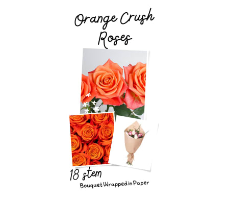 12/18/24 Orange Roses Wrapped in Cellophane