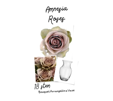 Amnesia Roses in a Vase (12/18 or 24)