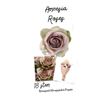 Amnesia Roses Bouquet (No Vase)