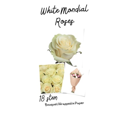 Mondial (off white) Roses Wrapped