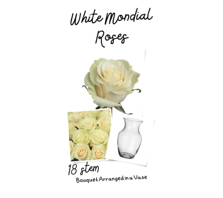 Mondial Roses Arranged in a Vase