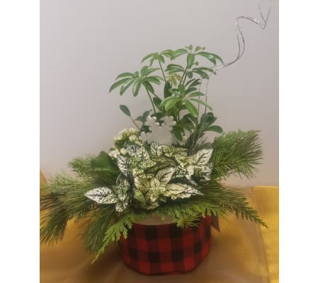 Canvas Plaid Arrangement