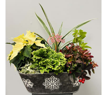 Snowflake Tin Planter