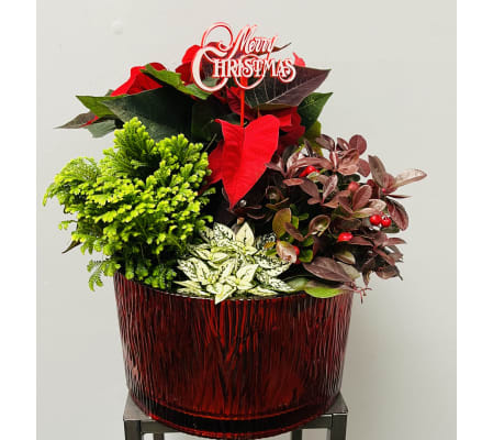 Round and Red Christmas Planter