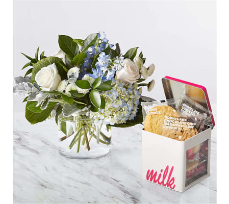 WINTER BLUE COOKIE BUNDLE