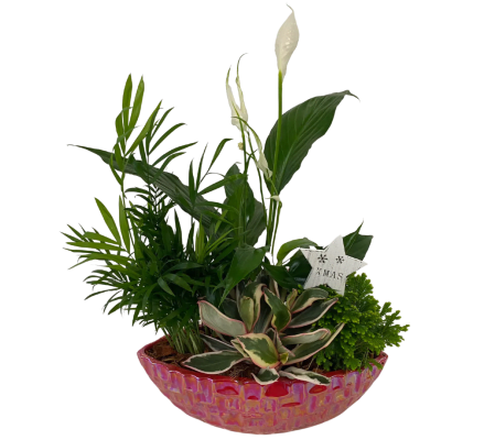 Red Shimmering Peace Lily Boat