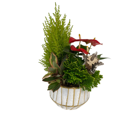 White Gold Stripe Tropical