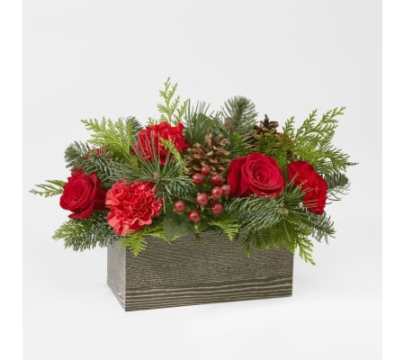 Christmas box of joy