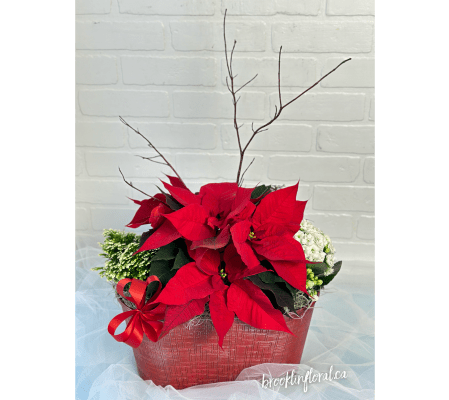 Spark JOY Holiday Garden Deluxe Oval