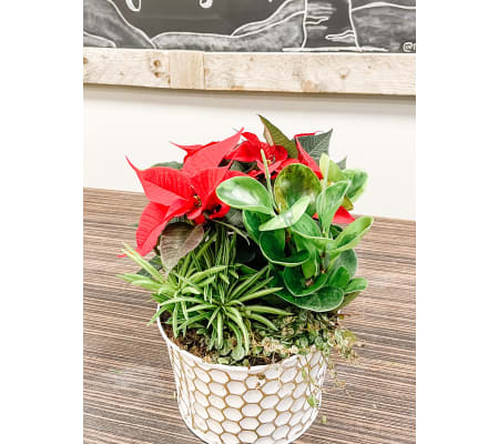 Winter Planter