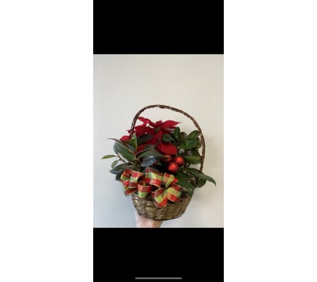 Happy Holidays dish garden