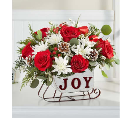Joyful Snow Sleigh