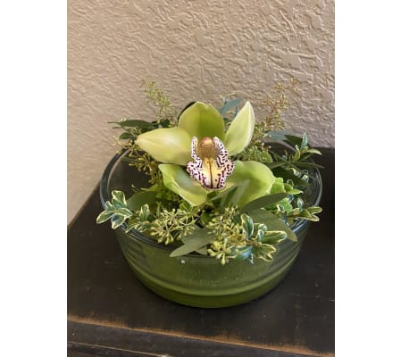 Orchid I Glad I Thought of You