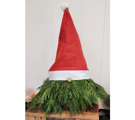 Gnome for the Holiday