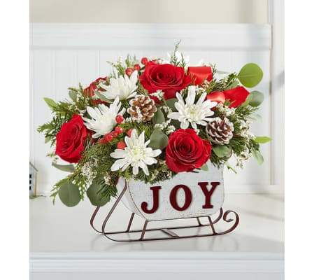 All Aboard The Christmas Seigh