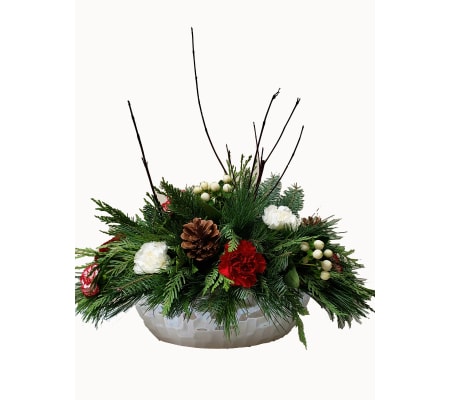 Dreams of a White Christmas