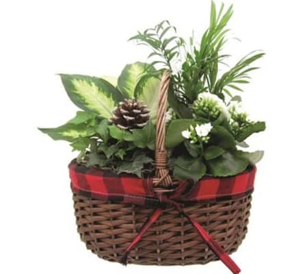 Huck Wicker Basket Indoor Garden