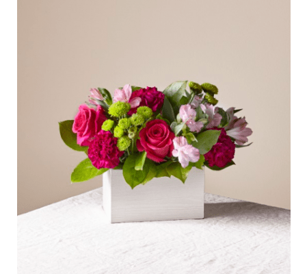 ATC Watermelon Punch