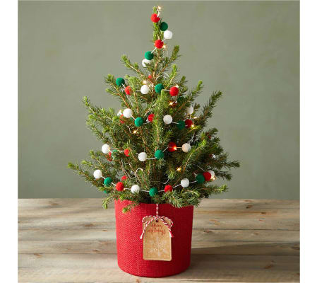 Fresh & Festive Tiny Tree