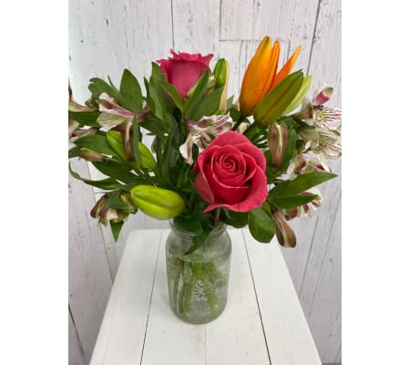 Bright Dreams by Avenida