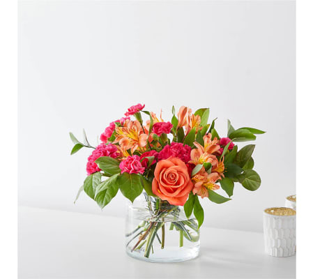 CONFETTI CELEBRATION