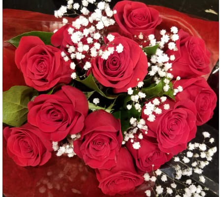 12,18 or 24  Red Rose with Babies Breath HTB - No Vase