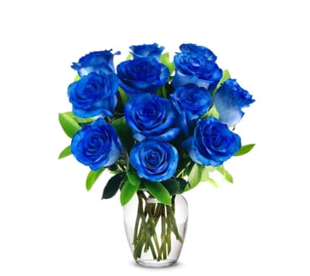 12 Classic Blue Roses