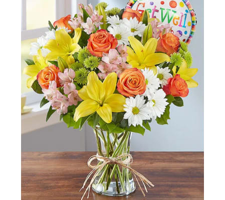 Fields of Europe XL Get Well