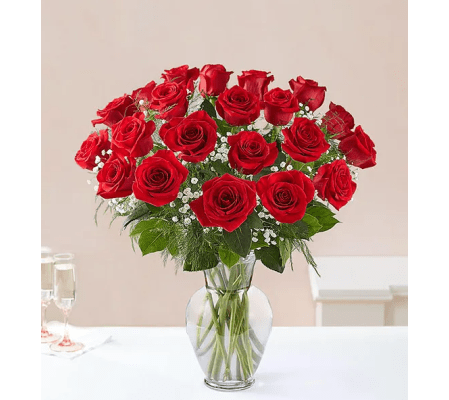 24 Elegant Red Roses