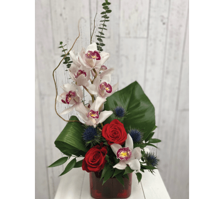 My Happy Place (IFC)