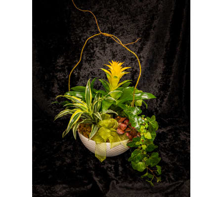 Sentimental Moments Plant Basket