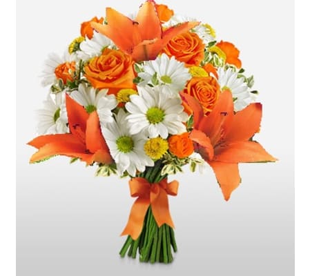 ORANGE ROSES WRAPPED