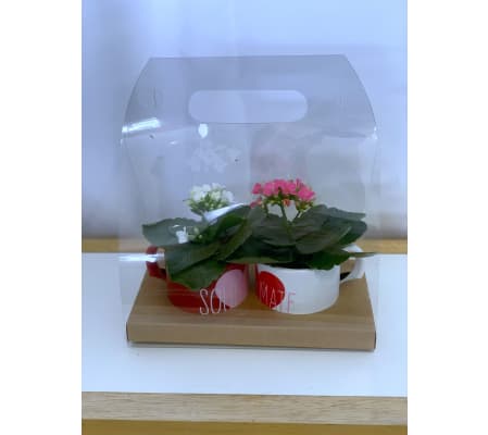 Kindred Spirits Mini Plant Mug Set (2)