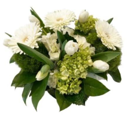 A Star is Born Today